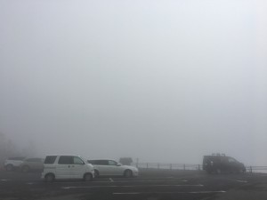 50ED669B-6D54-43DD-B59B-FD127CD091B5